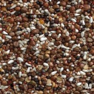 Buckton VIP Mix Pigeon Food